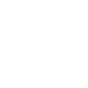 n1